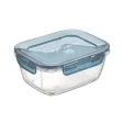 Glass storage box - ovenproof & airtight - 23x18 cm