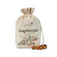 Organic soap berries - 1000 gr.