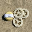 Loofah sponge