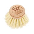 Brush head for reusable dish brush - Hard